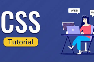 CSS Tutor