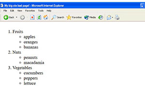 Lesson 20: list types, nested lists